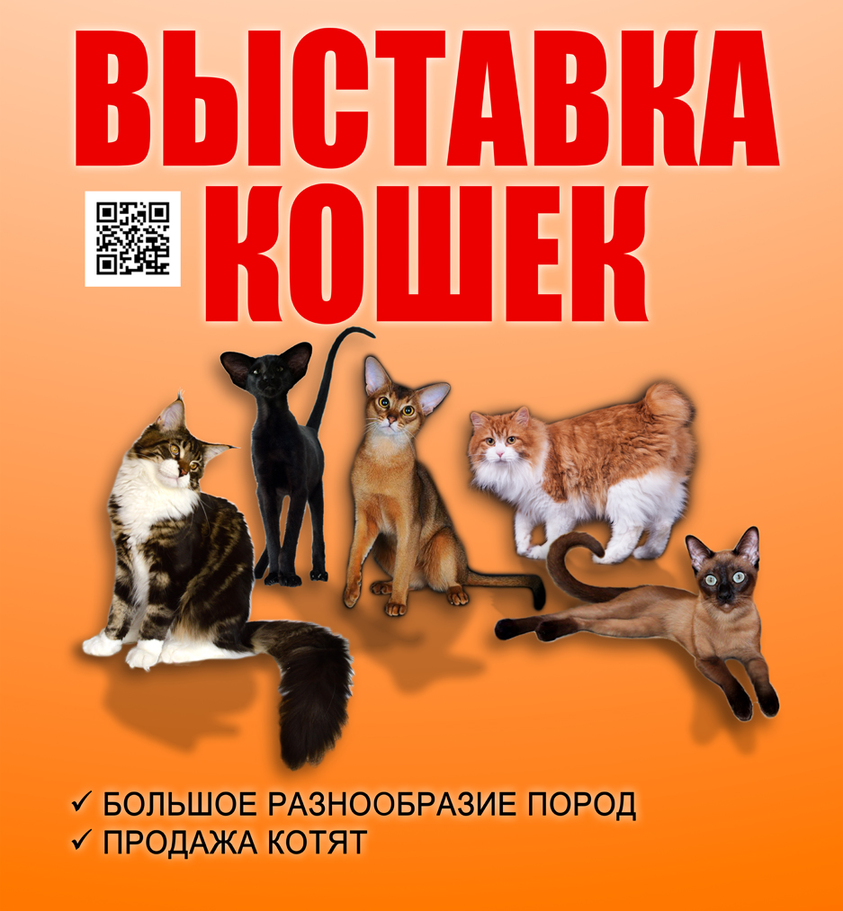 Выставка кошек / АРЕНА