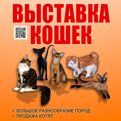 	Выставка кошек