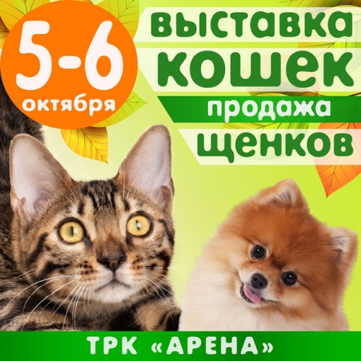 	Выставка кошек и щенков