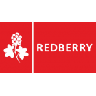 Логотип Redberry